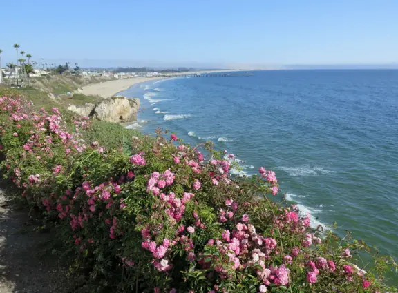 Three mile walk (1.5 miles each way) with stunning views!