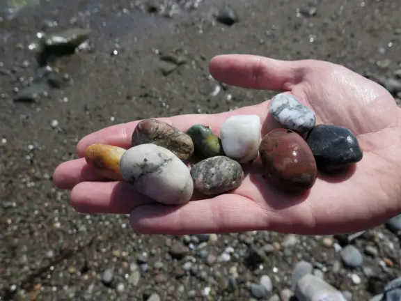 A memorable walk is along the clifftop trail at Estero Bluffs, with the wide open spaces, beach below with shiny green agate rocks, and shipwreck!