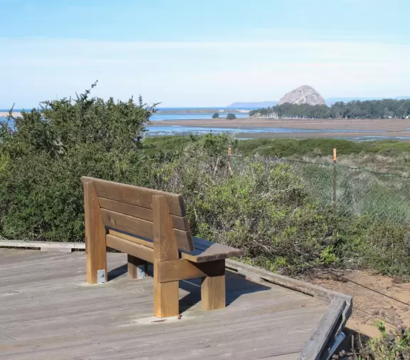A boardwalk over stunted California Live Oaks with wonderful views of Morro Rock and the bay below.