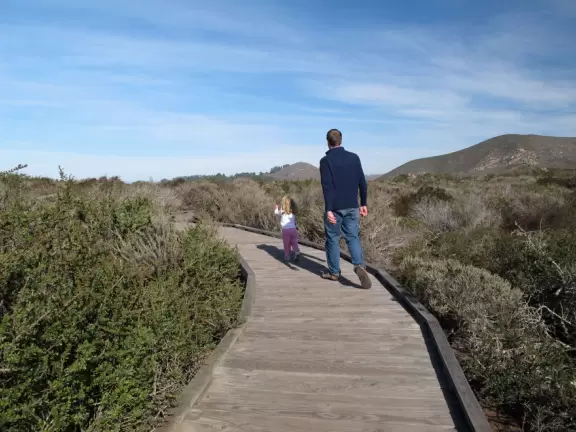A boardwalk over stunted California Live Oaks with wonderful views of Morro Rock and the bay below.