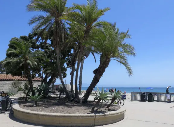 A crescent-shaped beach with rock pools, yellow and white cliffs, and surfers riding small waves near to shore. <br /><br />