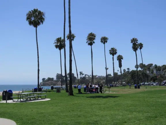 A crescent-shaped beach with rock pools, yellow and white cliffs, and surfers riding small waves near to shore. <br /><br />