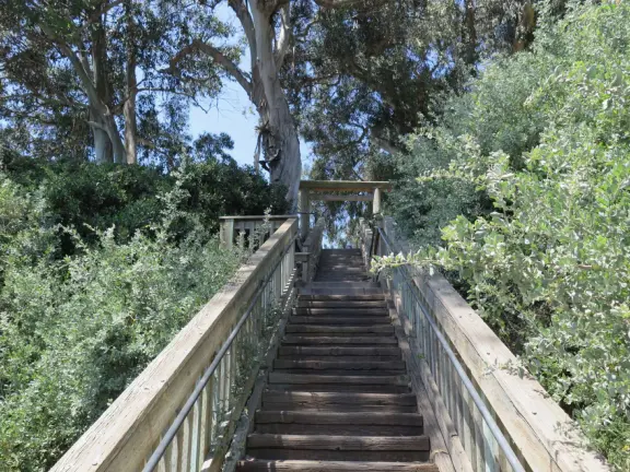 Peek over the high cliffs at little coves below, look out over Santa Barbara harbor, and sit on a whale's tail!