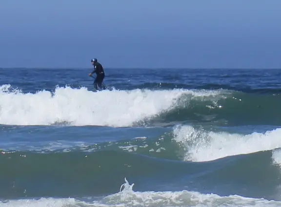 Wonderful wide and secluded beach, with sand dollars galore, and views of Morro Rock!