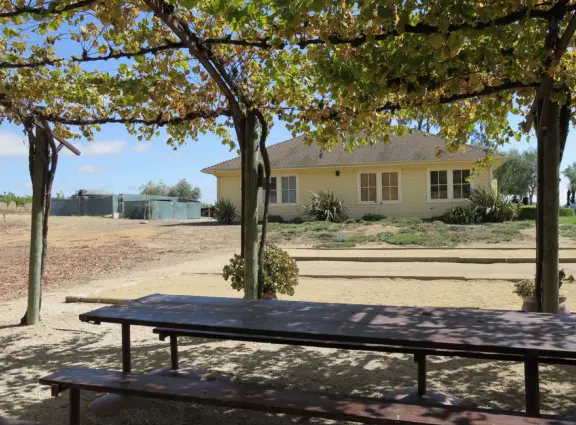 Lovely place to sit with views of the vineyards and the morro called Islay Hill.