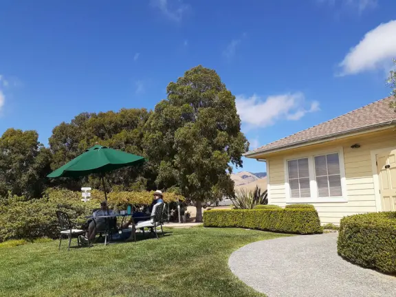 Lovely place to sit with views of the vineyards and the morro called Islay Hill.