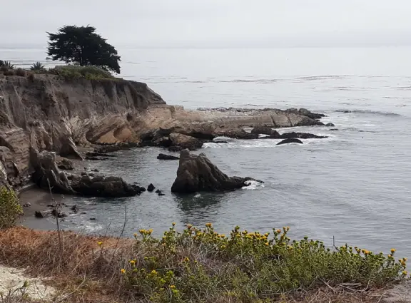 Small park in residential neighborhood with benches overlooking a pretty cove.
