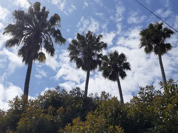 Small park in residential neighborhood with benches overlooking a pretty cove.