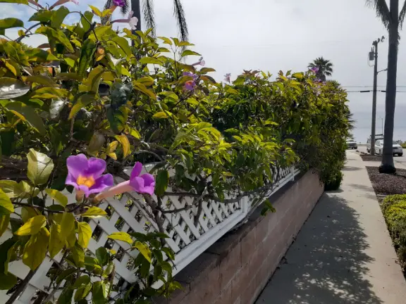 Small park in residential neighborhood with benches overlooking a pretty cove.