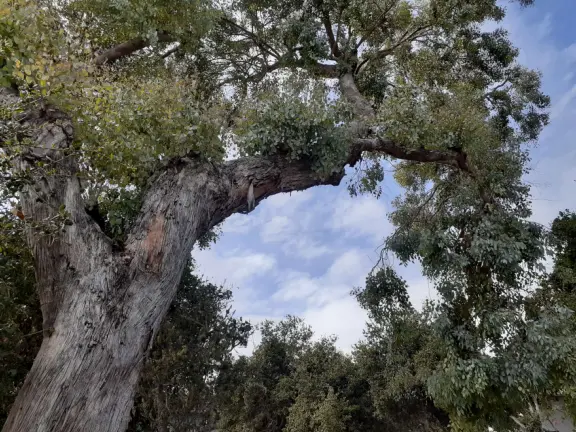 Small park in residential neighborhood with benches overlooking a pretty cove.