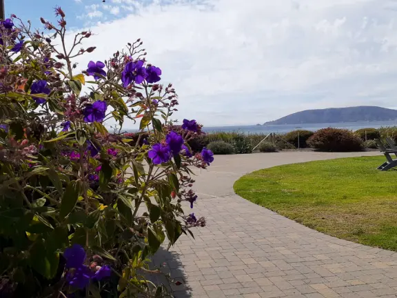 Walkway on the cliffs, in front of the resorts, that's bliss at sunset and in springtime when there are flowers galore. Take stairs down to a sheltered cove with tide pools.