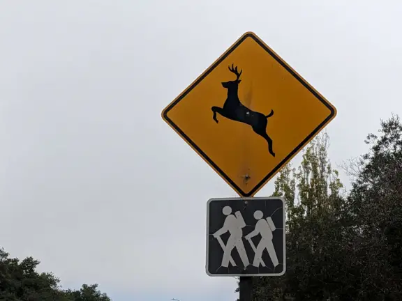 Narrow, loose-dirt path through oak habitat. Less than a mile. Also called James Way Park Trail.