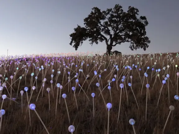 A wonderful exhibit on acres of undulating hills, with a field of lights resembling a flower field, and metal sculptures making patterns of light.