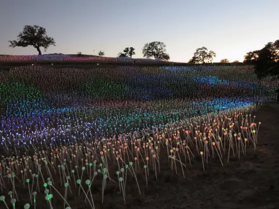 A wonderful exhibit on acres of undulating hills, with a field of lights resembling a flower field, and metal sculptures making patterns of light.