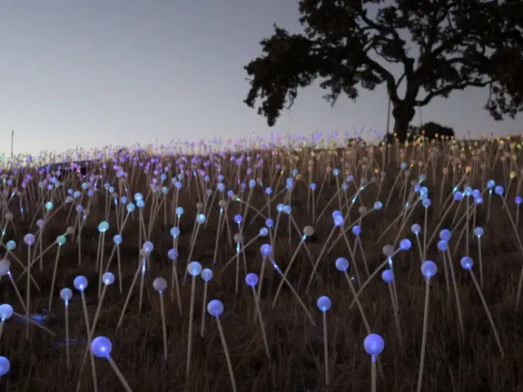 A wonderful exhibit on acres of undulating hills, with a field of lights resembling a flower field, and metal sculptures making patterns of light.
