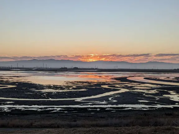 If you know someone who works at Meta, they can bring you to tour the campus!