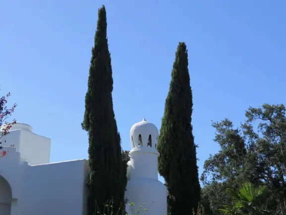 Hilltop park with basketball court with views, picnic tables, eucalyptus trees, and a difficult two-mile out-and-back trail.