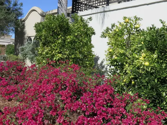 Hilltop park with basketball court with views, picnic tables, eucalyptus trees, and a difficult two-mile out-and-back trail.
