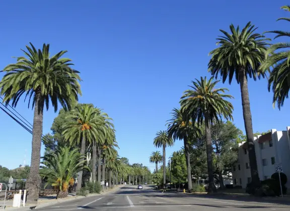 Scout Coffee, a friendly, bustling place, and Lassens Natural Foods Market, plus many other food places nearby.