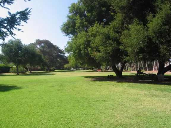 A redwood forest that looks like Northern California, with a playground and spacious knolly lawn.