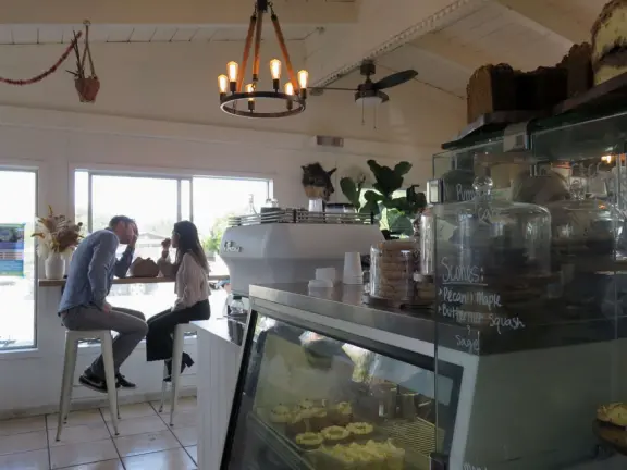 A nature-filled magical area, foggy and cold, and not very walkable (sidewalks are rare), but with some hidden gems.