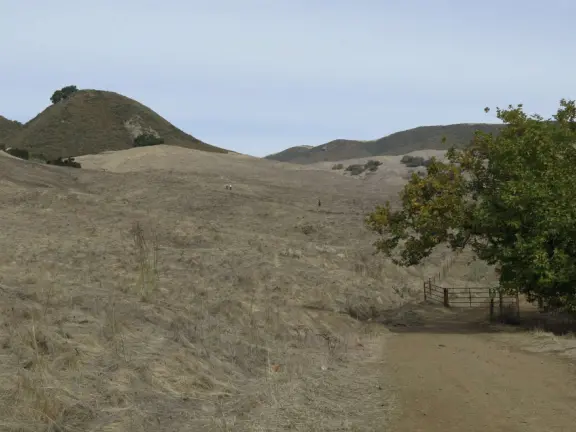 Wonderful wide open spaces with mountains of all shapes and sizes! First mile is shady. Four mile out and back, or five mile lollipop loop hike. Optional detours: architecture creations, or mountaintop swing.