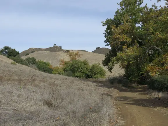 Wonderful wide open spaces with mountains of all shapes and sizes! First mile is shady. Four mile out and back, or five mile lollipop loop hike. Optional detours: architecture creations, or mountaintop swing.