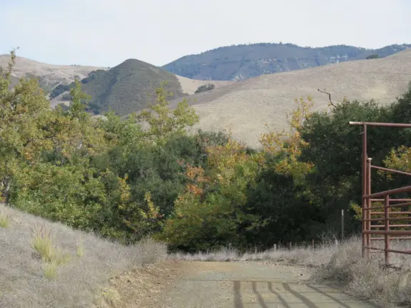 Wonderful wide open spaces with mountains of all shapes and sizes! First mile is shady. Four mile out and back, or five mile lollipop loop hike. Optional detours: architecture creations, or mountaintop swing.