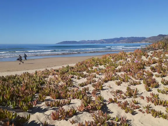 A glorious beach in Grover Beach town, with sand dunes and a wooden boardwalk, plus an octagon-shaped wooden pier in the sand.