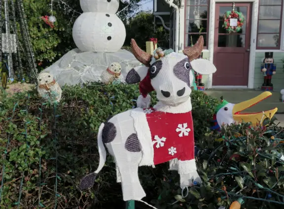 Take a walk past pretty Victorian homes and gardens.