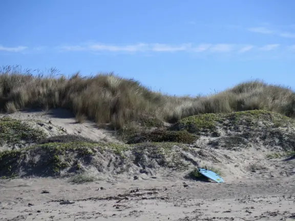 A gorgeous wild beach at the base of Morro Rock.