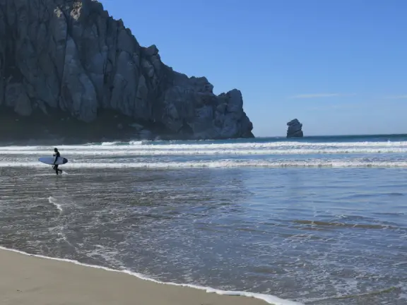 A gorgeous wild beach at the base of Morro Rock.