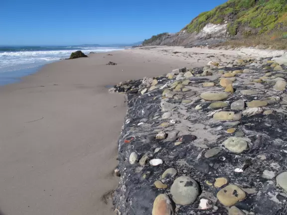 A secluded beach with golden bluffs, little birds running along the shore, a surfer or two, and forest behind.