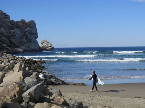 A gorgeous wild beach at the base of Morro Rock.
