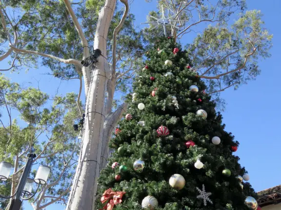 Spanish mission from late 18th century, in downtown San Luis Obispo, with giant roses in the garden behind and a lively plaza in front.