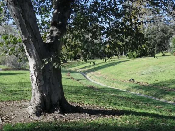A lush park with rolling hills to run on, one-mile loop walking path, and basketball and sand volleyball courts. Currently has a crime problem.