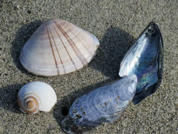 Colorful, pretty main street and boardwalk, with great cafes, lovely ship playground, and mesmerizing yellow cliffs.