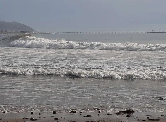 The famous Rincon, the best place to surf in Santa Barbara!