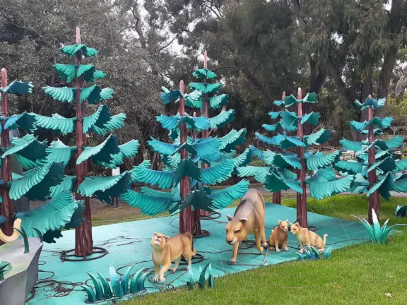 Unusual animals, delightful landscaping, stunning views, train ride through forest, and kids' play hill!