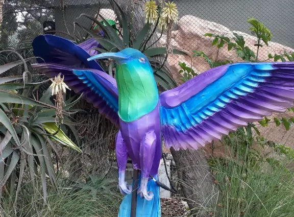 Unusual animals, delightful landscaping, stunning views, train ride through forest, and kids' play hill!