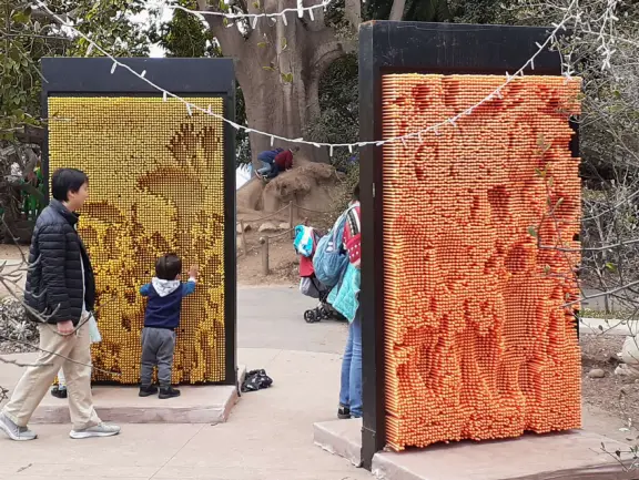 Unusual animals, delightful landscaping, stunning views, train ride through forest, and kids' play hill!