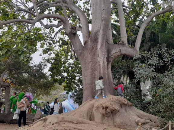 Unusual animals, delightful landscaping, stunning views, train ride through forest, and kids' play hill!