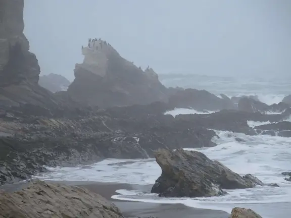 Rugged, beautiful cove with interesting rocks, sea glass, and shells on shore. Rock to climb, and water rushing into cove.