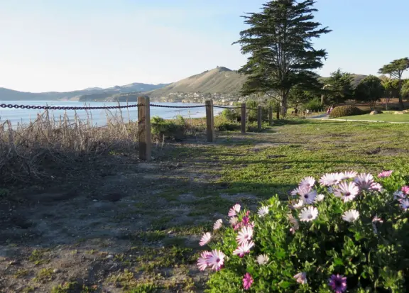 Stretch of grass with a paved walkway, flower beds, wonderful ocean views to Avila Beach, and monterey cypress trees.