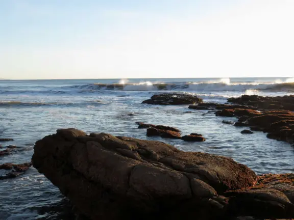 Stretch of grass with a paved walkway, flower beds, wonderful ocean views to Avila Beach, and monterey cypress trees.
