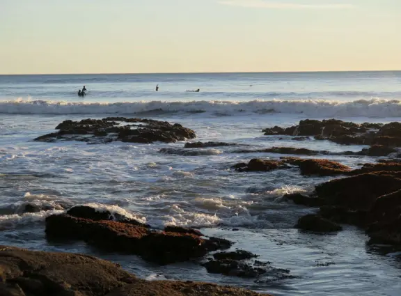 Stretch of grass with a paved walkway, flower beds, wonderful ocean views to Avila Beach, and monterey cypress trees.