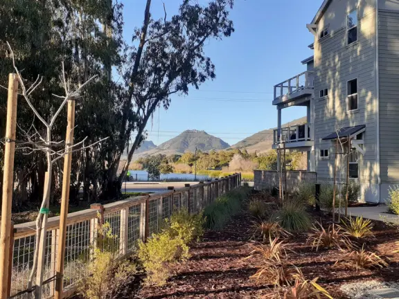 Lovely path beside a eucalyptus forest, on both sides of the creek, with workout stations, in a residential neighborhood. You can walk two miles total. Also called San Luis Ranch.
