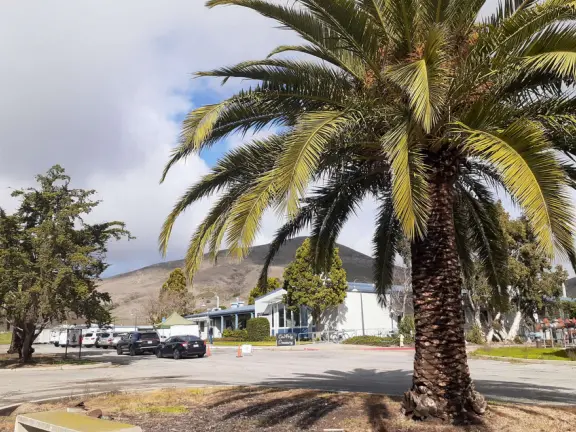 Hilly, sunny campus with tall, impressive trees and green lawns. A hands-on learning university.