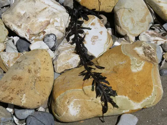 Amazing caves that are almost unreal.