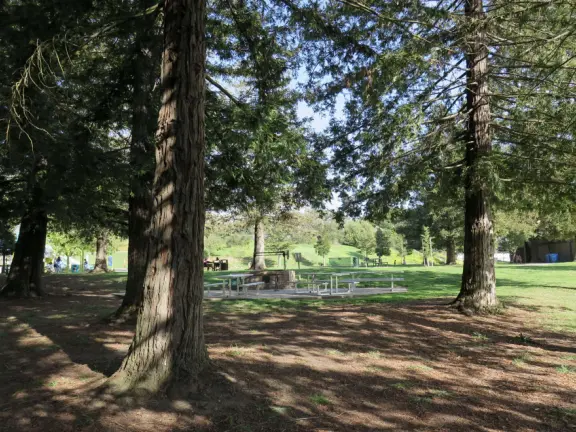 Best playground you'll ever visit! Huge slides, hillside slides, steep grass slope for cardboard sledding, cable zipline, and pretty trees to picnic under.